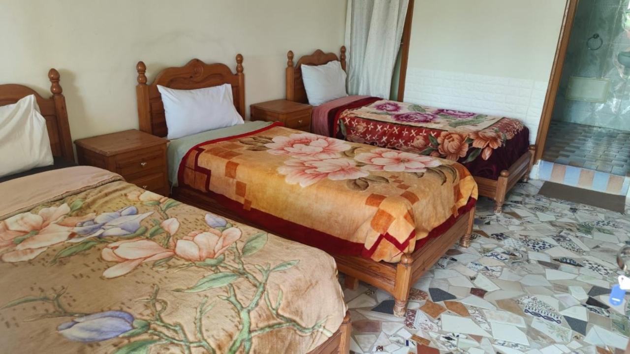 Hotel Auberge Restaurant Targa Taliouine Extérieur photo